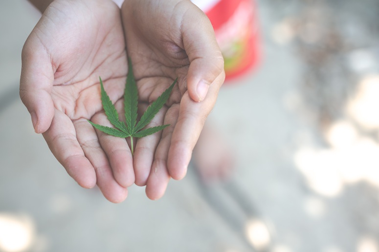 Marijuana Possession in Ohio: New Laws and Your Defense